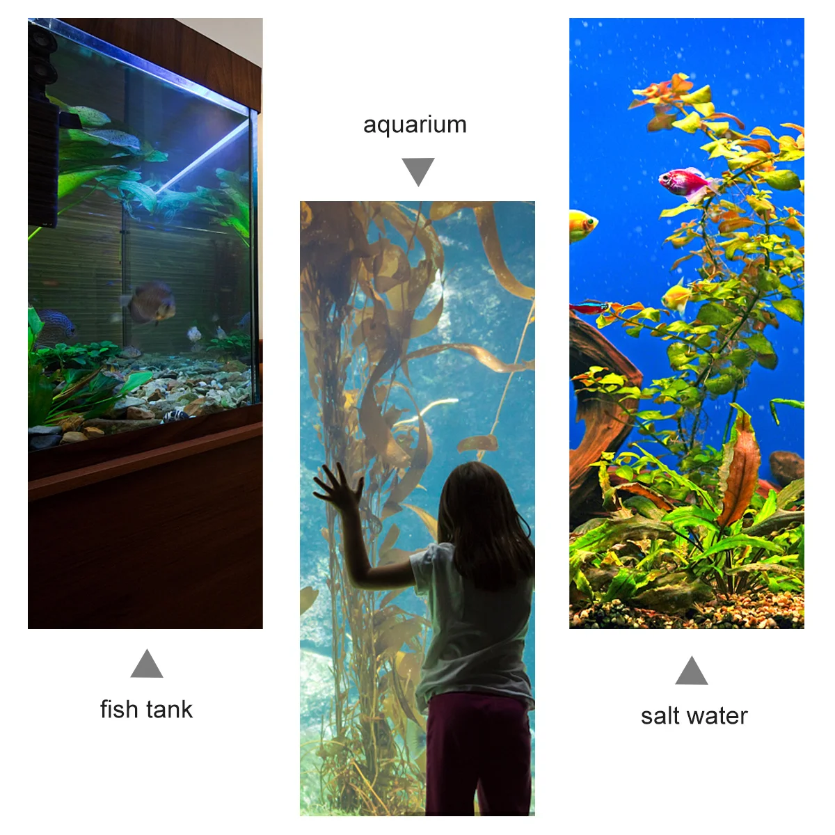 

Ornament Plants Faux Aquarium Ornamnet Fish Tank Mini Decoration Ornaments Water Grass Decorations Fake for