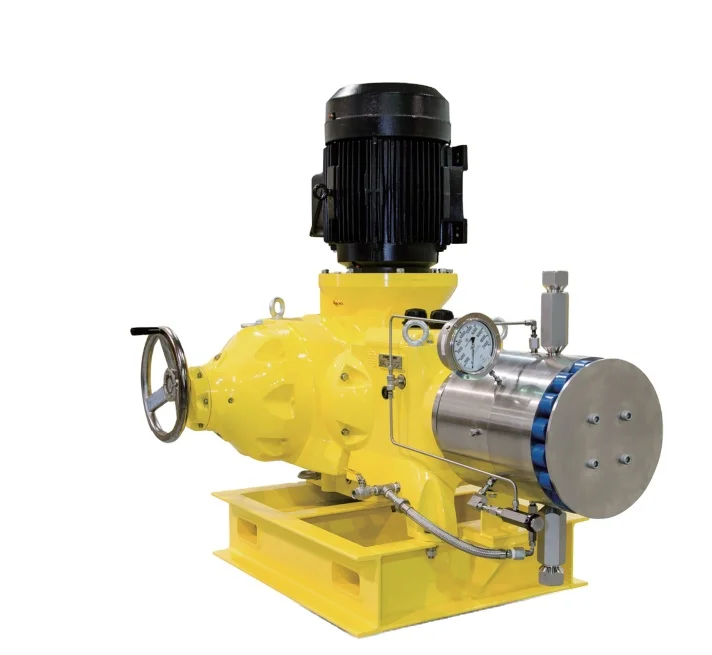 100% Original & Genuine Milton Roy Primeroyal X Series High Performance Hydraulic Diaphragm Metering Pump PTFE Membrane Inverter