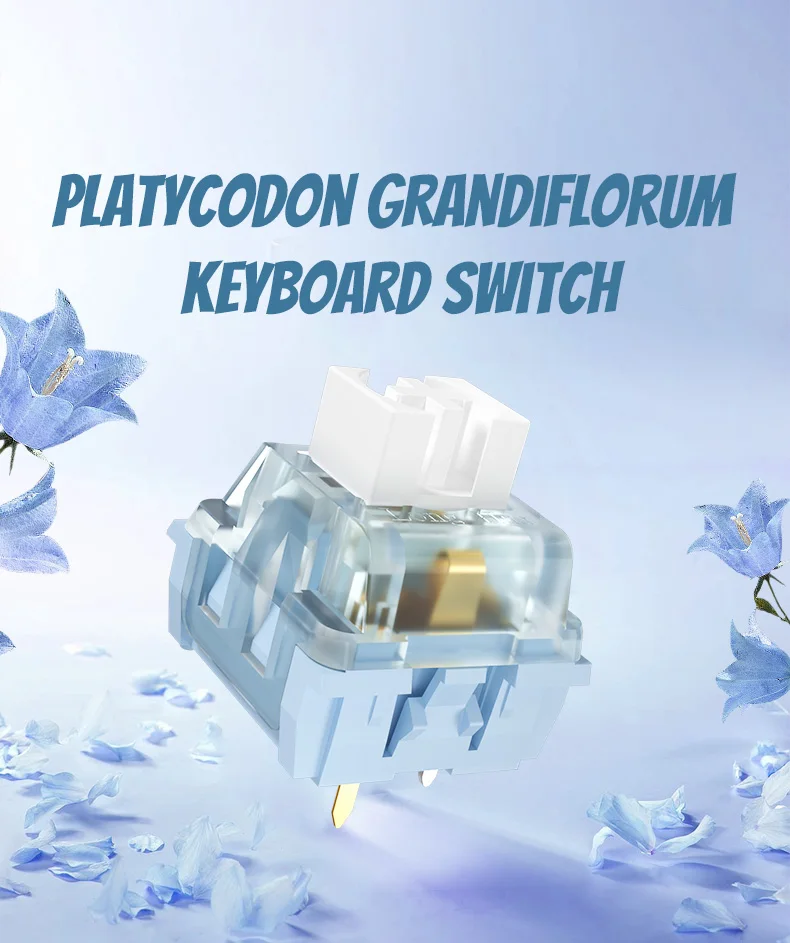 1/3/5PCS Kailh Platycodon Grandiflorum Tastatur Schalter MX Staub-proof Guide Core Erweiterte Taktile mechanische Tastatur Schalter – Detail 2