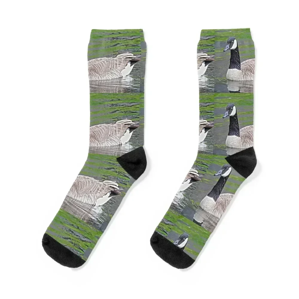 Canadian goose swimming in water Socks man halloween basketball happy Socks For Men Women's