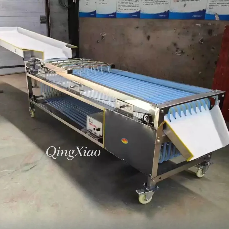 Roller Type Fruit Commercial Fruit Grading Selector Sizer for Jujube Kumquat Passion Plum Automatic Fruit Sorting Grader