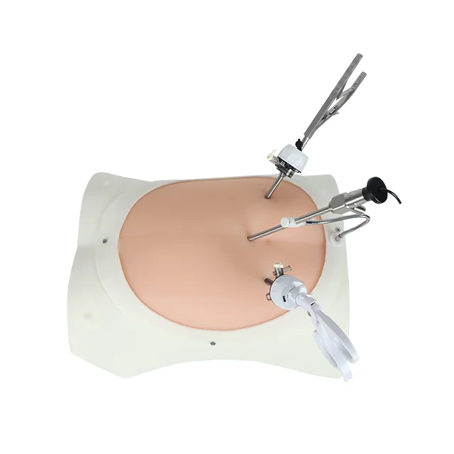 Laparoscopic Trainer Case With USB Camera For Medical Training Abdominal Training Emulator Case