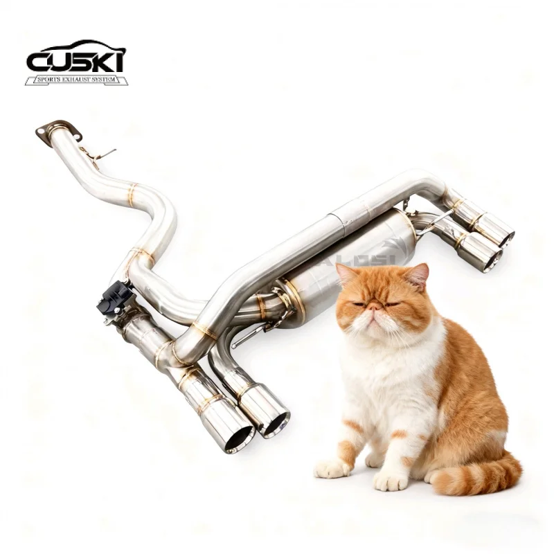 Customizable Exhaust cat Back Muffler for BMW 1M E82 3.0T N54 2012-2015 Valve Exhaust Racing Performance Car Sound Retrofit