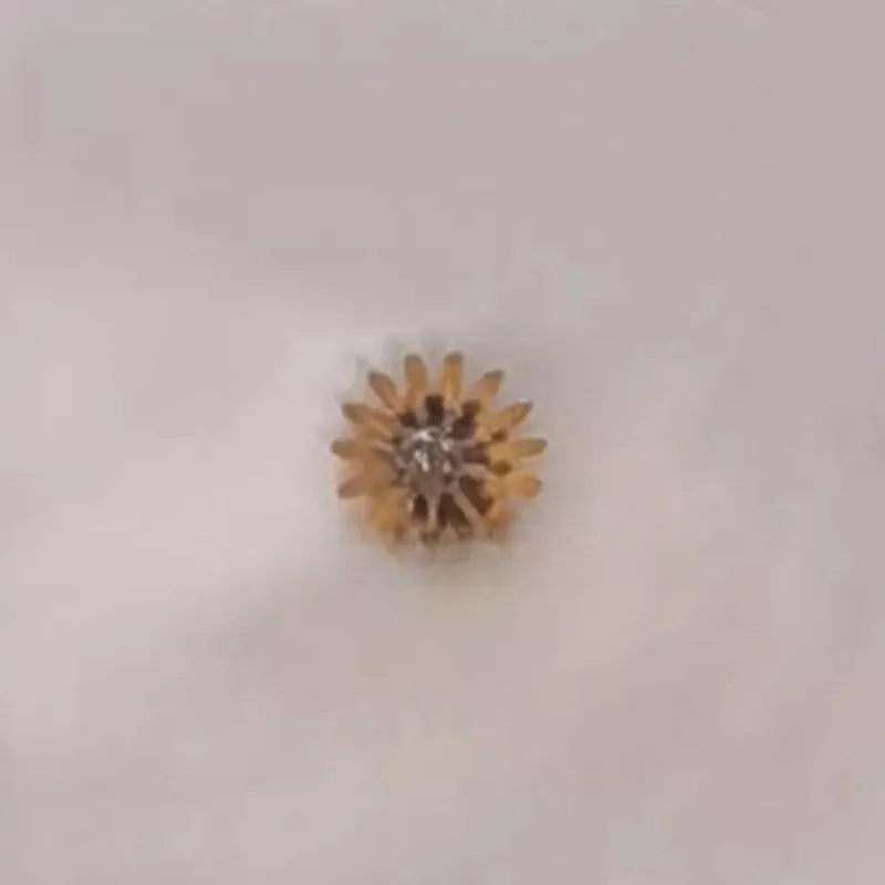 

Детали подходят для аксессуаров часового механизма, аксессуаров для механизмов Lao 3136, новое колесо-календарь 3136, двухслойное колесо.