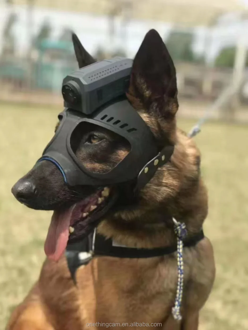 K9 Helmet Shape Dog Tactical Helmet with glasses design