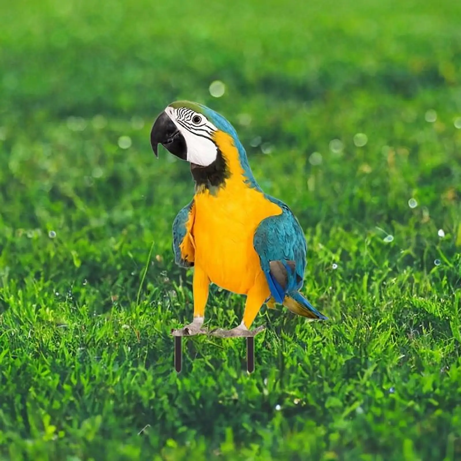 Parrot Garden Stake Acrylic Unique Colorful Bird Decoration Practical Ideal Gift for Lawn and Walkway