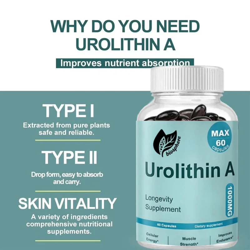

Добавка Urolith A, здоровье клеток и жизненность, здоровая старение и поддержка миточундаля, ремонт клеток -1000 мг (60 капсул)