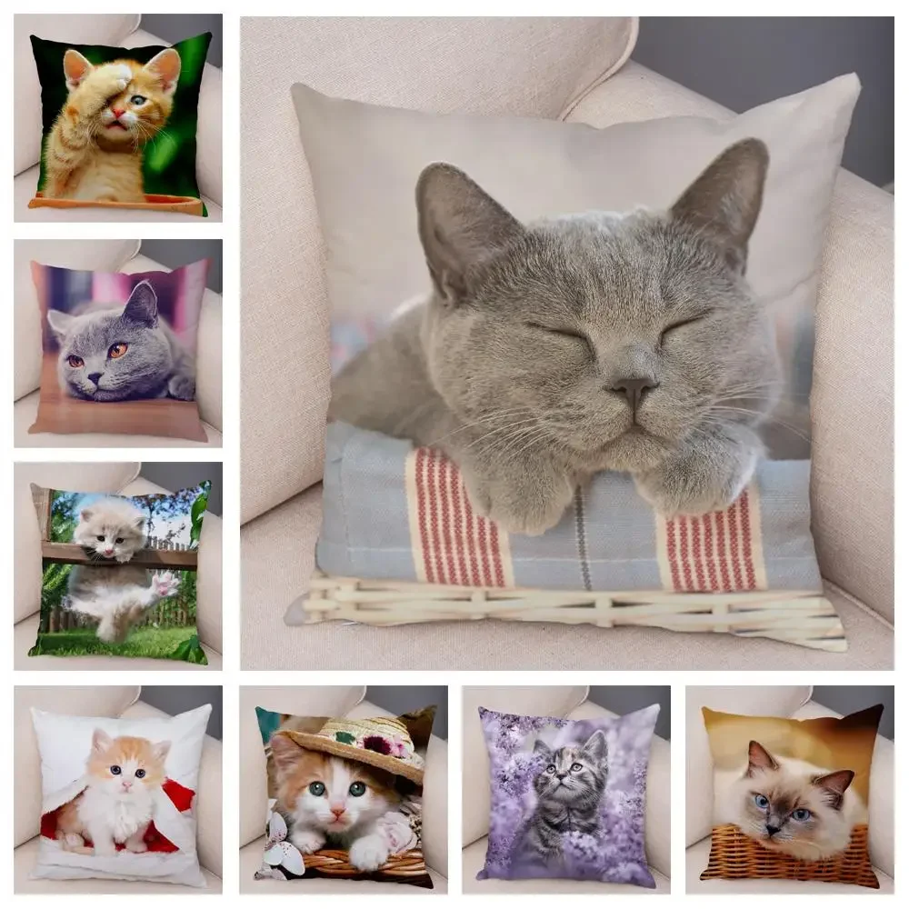 

Car Sofa Home Cushion Cover Cute Pet Animal Print Pillowcase Funny Cute Cat Pillowcase Decoration