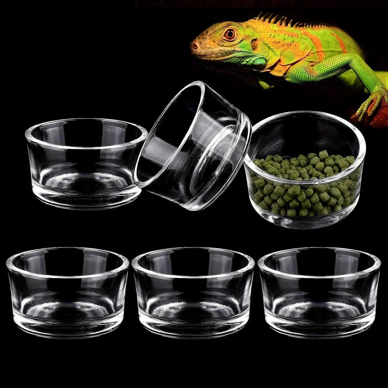 6Pcs Reptile Water Dish Terrarium Bowl Mini Food Crawler Feeding Sink Lizard Lizard Lizard Pet Water Bowl Drinking Container