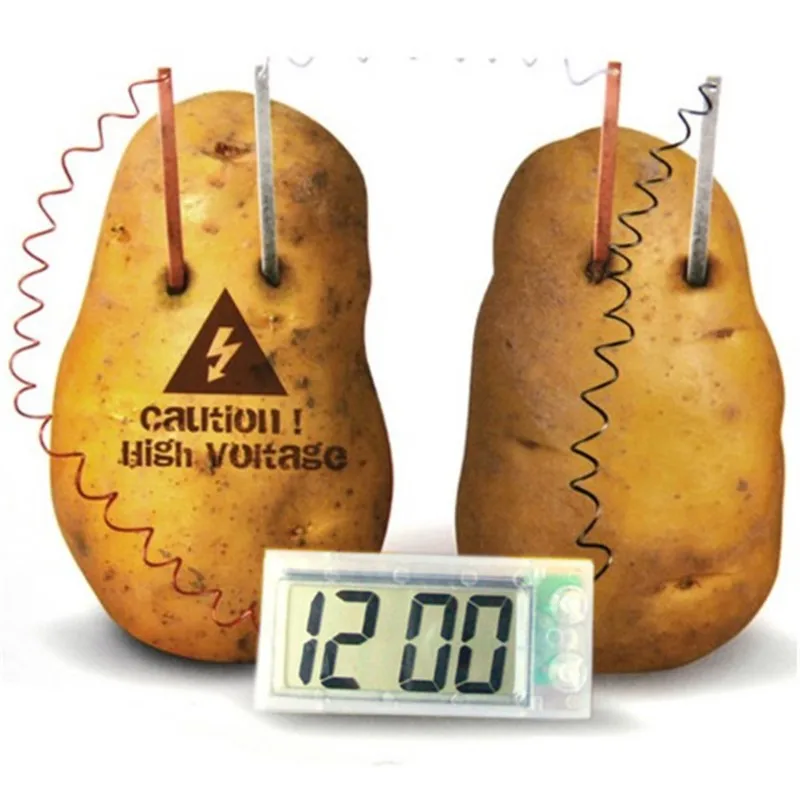 Potato Clock Science Project Experiment Kit Kids DIY Home School Lab Gifts Toy