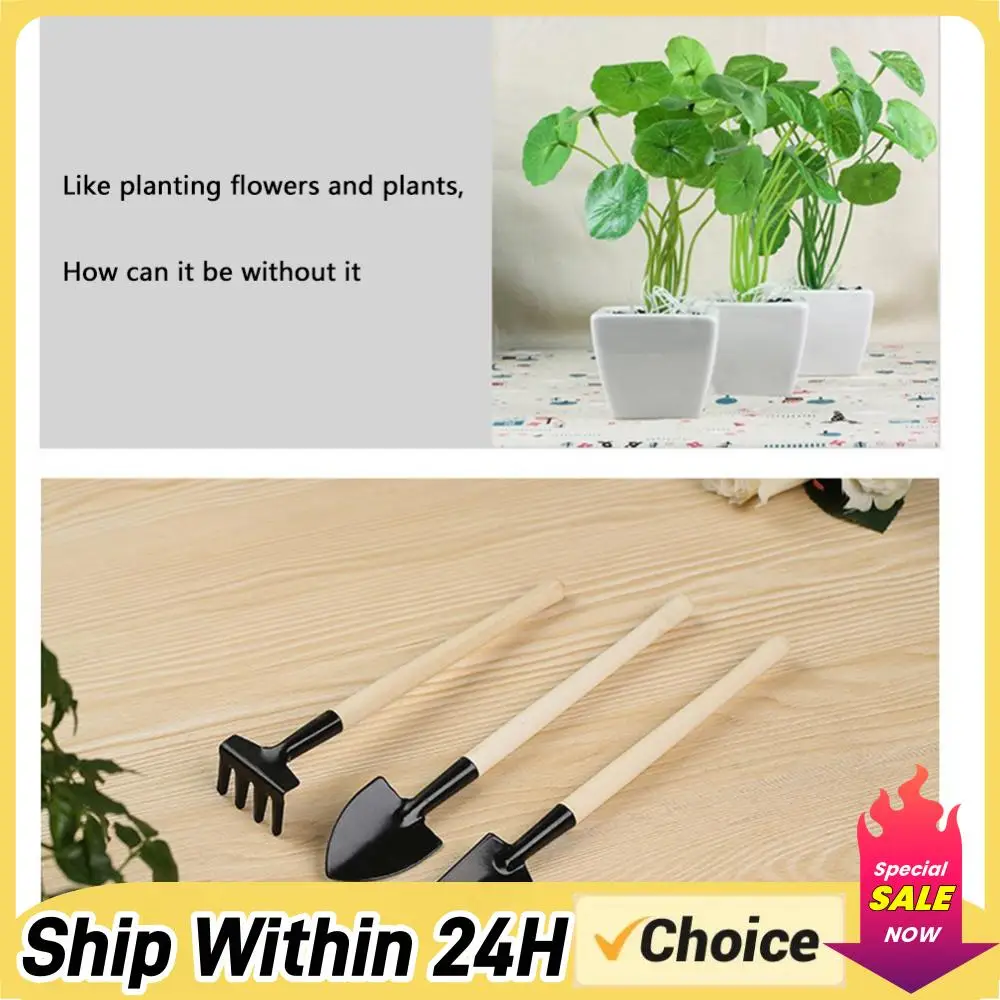 3Pcs Shovel Rake Spade Set Small Rake Shovel Spade Wooden Handle Bonsai Tools Set Hand Planting Tools for Indoor Gardening