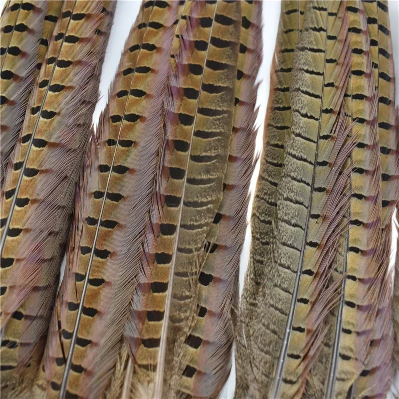 Natural Ringneck Long Pheasant Feathers for Crafts Head Large Decorative Chicken Feather Festival Teasing Cats Carnival Festival