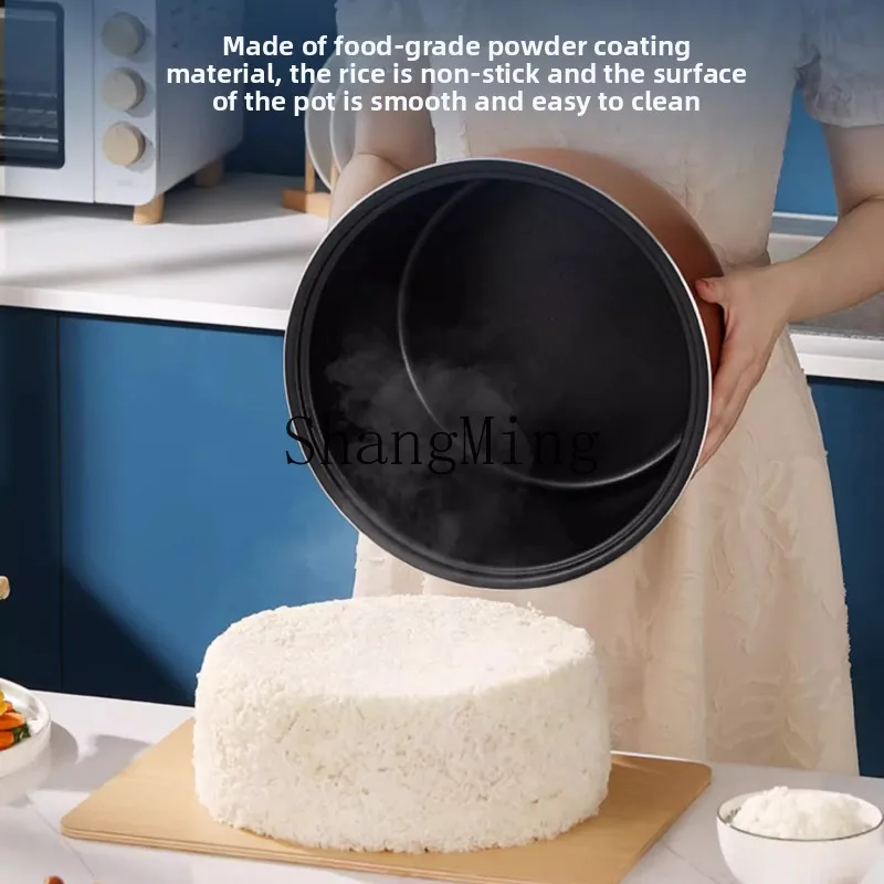 LXY rijstkoker commerciële grote capaciteit 10L grote hotelkantine grote rijstkoker