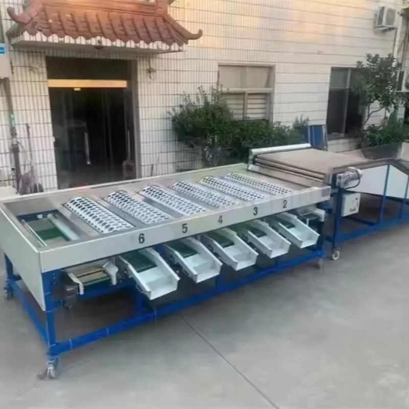 Onion Fruit Vegetable Leaf Cherry Tomato Plum Apple Avocado Size Grader Sorting Grading Line Machine and Clean Customized