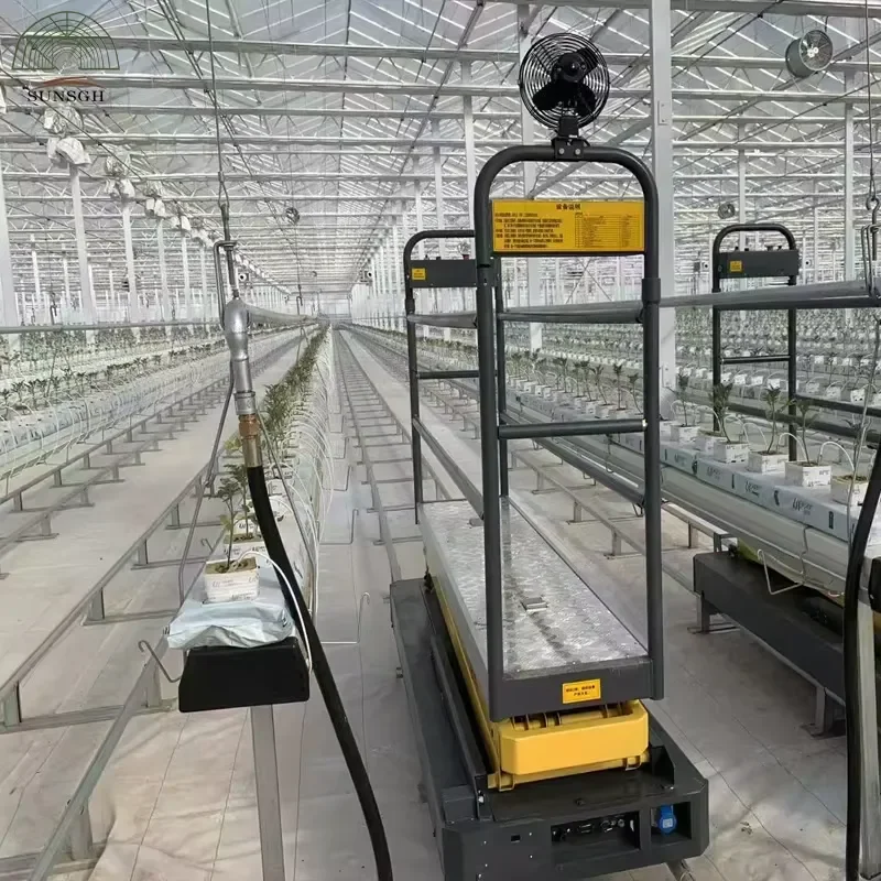 Fruit and Vegetable Picking Cart, Fully Automatic Rail Picking Cart, Greenhouse Rail Picking Machine