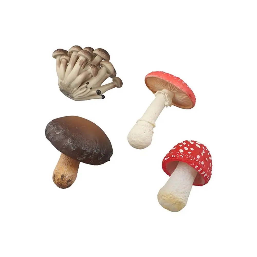 Vegetable Model Fungus Figurines Landscape Miniatures Matsutake Oyste Simulation Mushroom Pleurotus Teaching Toy Fungus Model