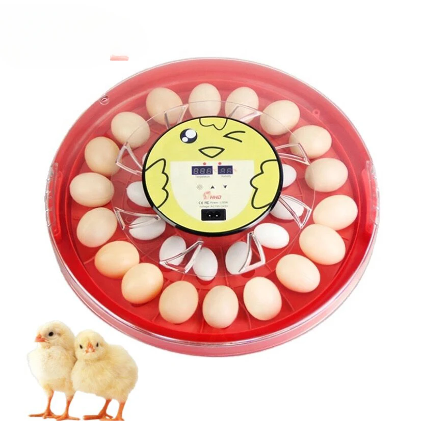 for HHD Smile Hatchery machine Poultry Incubator Mini 30 pcs Egg incubator Auto Spin Turner Temperature Control Chicken Egg