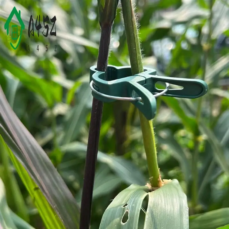 

A45Z-Botanical Garden Clip Set Plastic Clips For And Other Plants