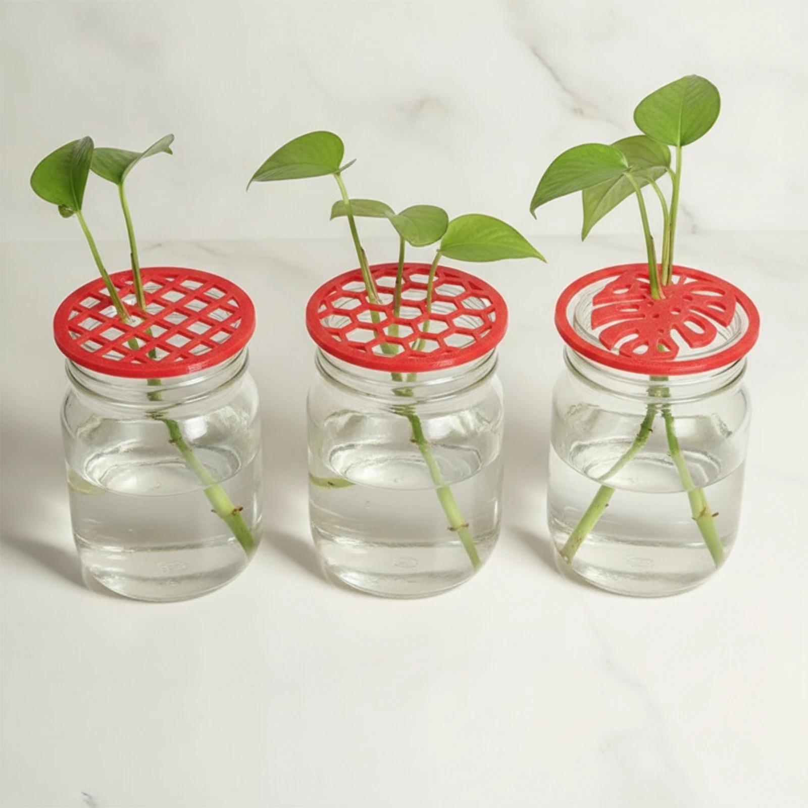 3 Pieces Propagation Tray Lid Reusable Propagation Lid Easy to Use Stackable for Gardeners, Hydroponics, Windowsill