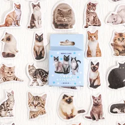 Caja de pegatinas decorativas para selfis, 45 piezas, lindo gato, Material de álbum de recortes, etiqueta, diario, papelería, álbum, teléfono, diario, planificador