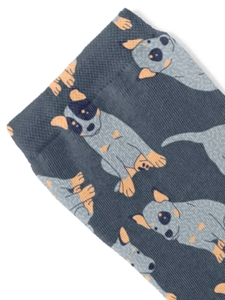 Blue Heeler Puppy Socks essential sport new in's Socks Male Women's