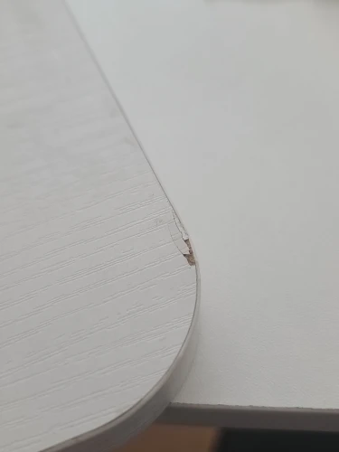 실물 포토 리뷰