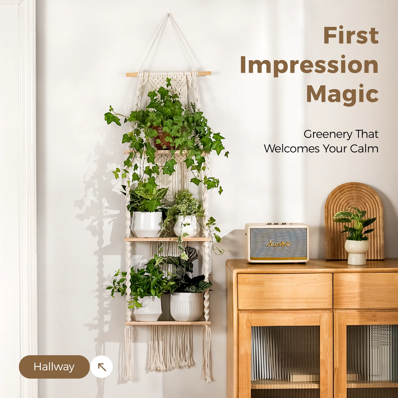 Bamworld 3 الطبقة بوهو جدار النبات الجرف حامل النبات نافذة النبات مكرامية النبات الشماعات غرفة ديكور معلق غرفة نوم المعيشة شرفة #6