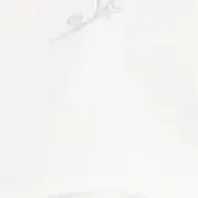 Adjustable Peritoneal Dialysis Waist Belt Black Catheter Protector Abdominal Belt With Catheter Fixation Device Conduit Strap