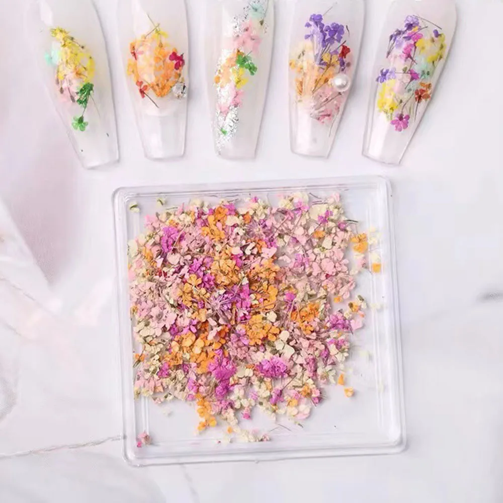 Mixed Color Dried Flowers for Nails Design Stickers Colorful Dried Flower Decoration Decal Floral Manicure Accessories Parts