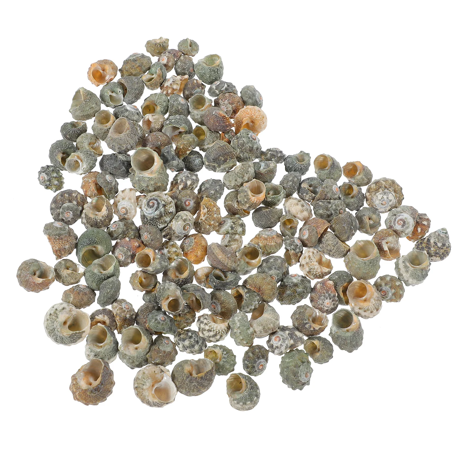 

200Pcs Delicate Conch Shell Ornaments for Aquarium Fish Tank Decor Terrarium Landscape DIY Craft Natural Home Decoration