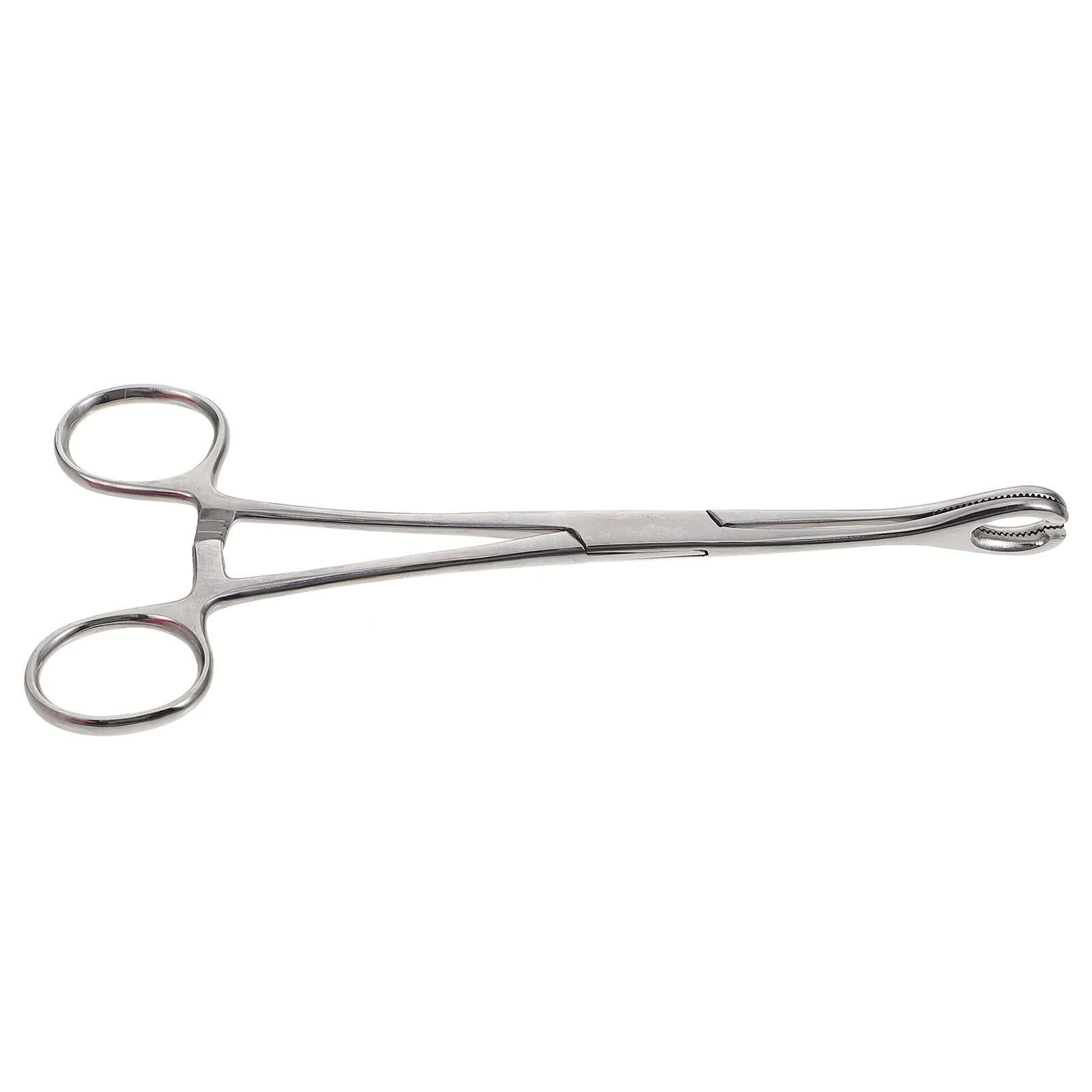 

Stainless Steel Piercing Clamps Body Tool Supplies Forceps Portable Lips Professional Use Safe Hygienic Practical