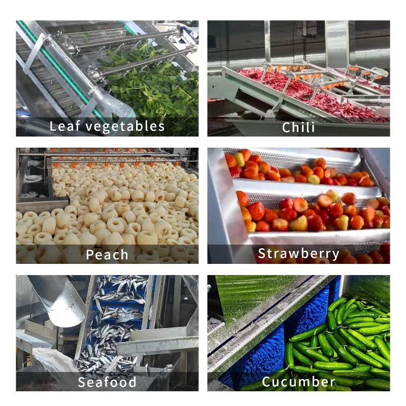 LWT PLC Controlled Multifunctional Complete Set Central Kitchen Pre-Cooked Vegetables Food Production Line Equipment 304