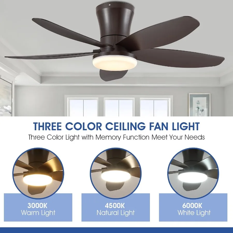 مراوح سقف 36 بوصة مع ضوء وجهاز تحكم عن بعد في التطبيق لغرف المعيشة المنزلية وغرف النوم 5 شفرات تصميم محرك قابل للعكس 3 ألوان Di