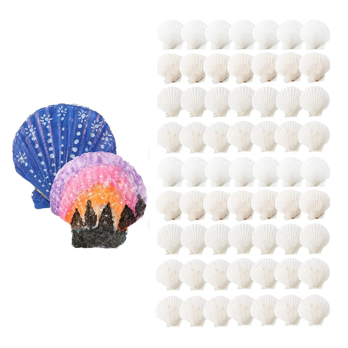 100 Pcs Sea Shell for Crafting Natural Large Scallop Shells White Oyster Shells Bulk for Decorating DIY Home Beach XT