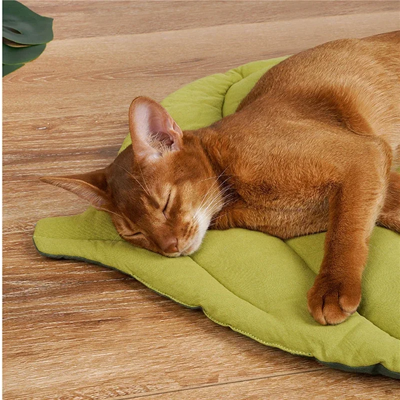 Large Leaf Kennel Dogs Shape Mattress Small Bed Pad, Medium And Mat Pad Machine Dog Washable Crate For Cats Soft