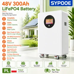 48V 300Ah 100Ah LiFePO4 Battery Pack Active Equalizer 15Kwh 6000 Cycles BMS Solar Storag Home Energy Storage 48V Lithium Battery