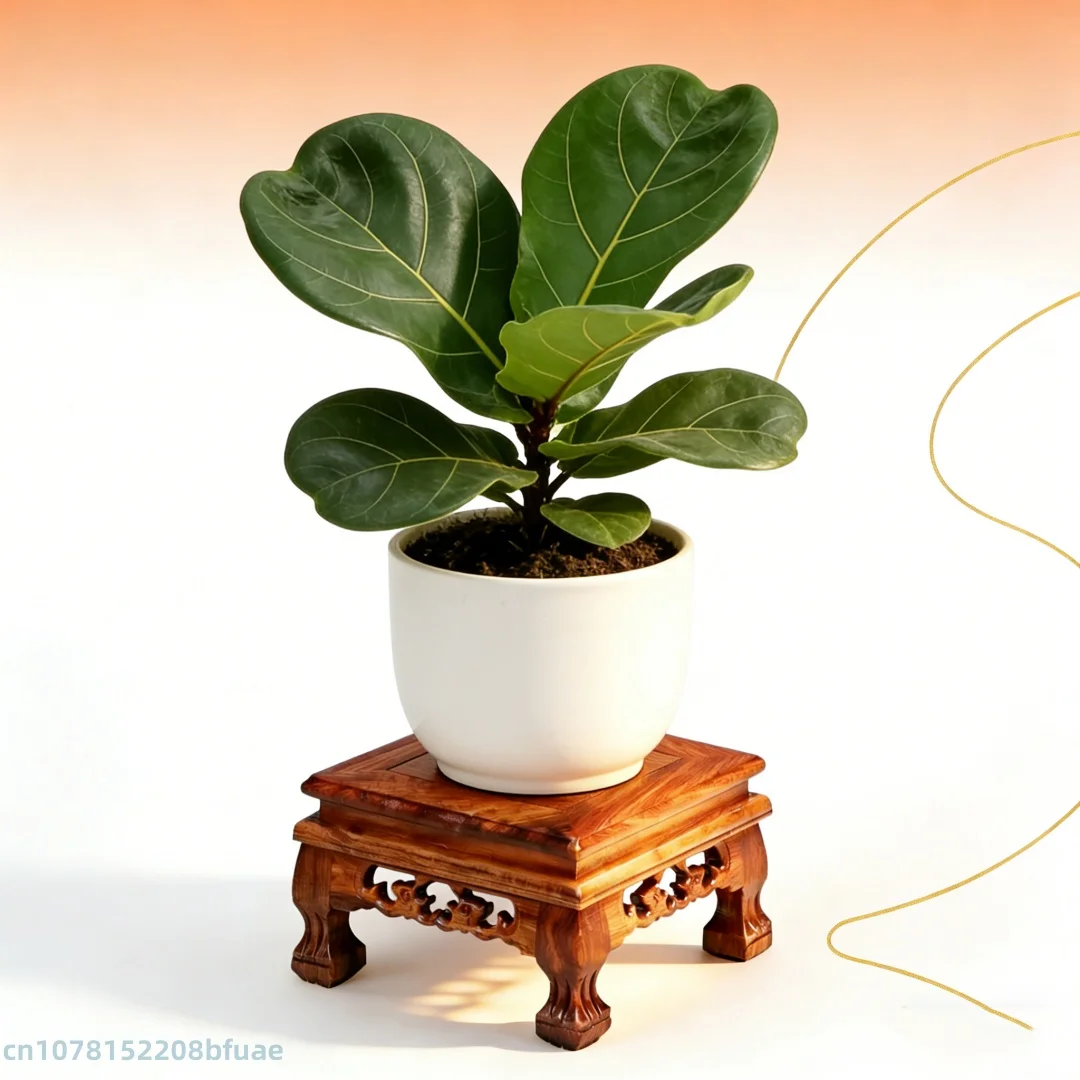 Solid Display Stand Base Wooden Pedestal for Figurines Vase Bonsai Home Wedding Decor Display