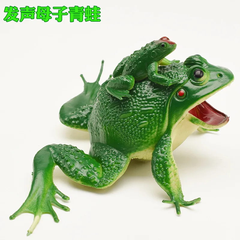 Jouet grenouille sonore de simulation en plastique, jouet grenouille sonore pour l'entraînement des capacités cognitives, jouet grenouille sonore pour les fêtes