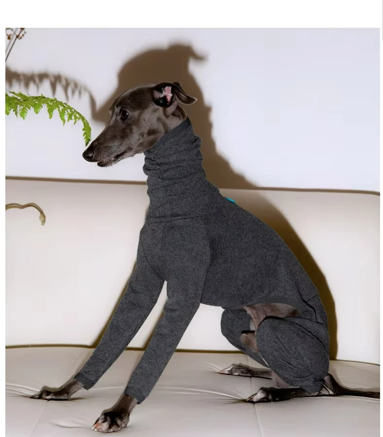 Fashion Grey Monochrome Four-legged Turtle Collar for Dogs Soft Dog Clothes Italian Greyhound Winter Basement Warm Turtle Collar