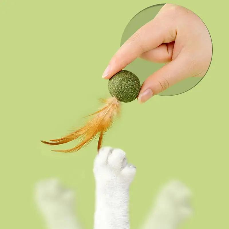 Catnip Ball Feather Cat Tooth Cleaning Cat Toy Promote Digestion Pet Kitten Interactive Chew Hair Removing Ball Pet toy