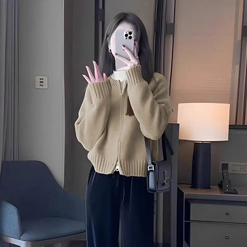 Zipper Cardigan Long Sleeved Knitted Top Loose Thickened Grey Cropped Sweater Coat Women's Clothing Autumn Winter Round Neck Top