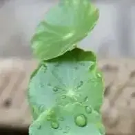 

аккумуляторная батарея 6S2P 25,2 В 6800 мАч 18650 литий-ионный аккумулятор с BMS + зарядное устройство