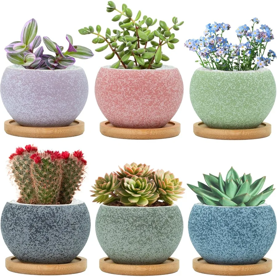 

3 inch Ceramic pots for Plants Small Succulent Pots Set with Drainage 6 Pack Flower Pot for Indoor Plant Planters for Little or