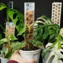 3pcs Plastic Moss Pole Climbing Vine Plant Climbing Post Plant Support Frame Gardening Tools