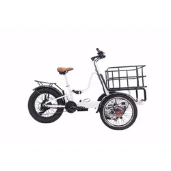 Offroad Electric Tricycle E-bike 3 Wheel Electric Long Range Electric Front Cargo Bike 250W/350W/500W/750W