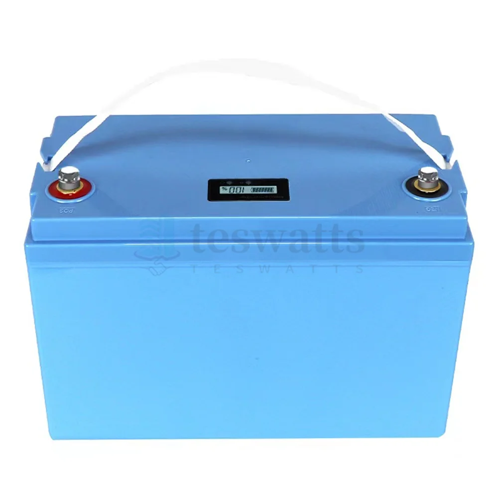 12V 100AH 120Ah 150Ah 24V 36V 40Ah 50AH 60Ah 80Ah lifepo4 lithium battery deep cycle batteries bluetooth BMS with charger