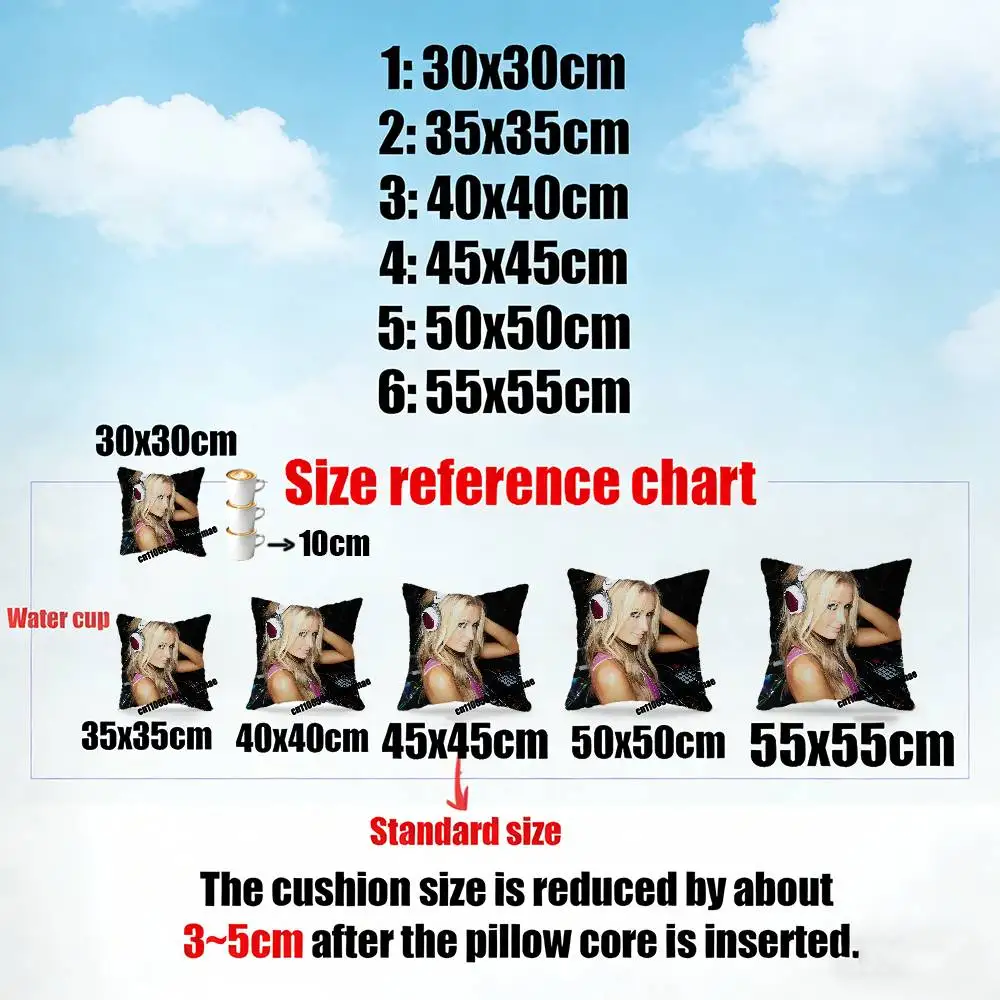 For P-Paris Hilton Throw Pillow Case Sham 30x30cm 45x45cm 50x50cm Square Office Cushion Cover