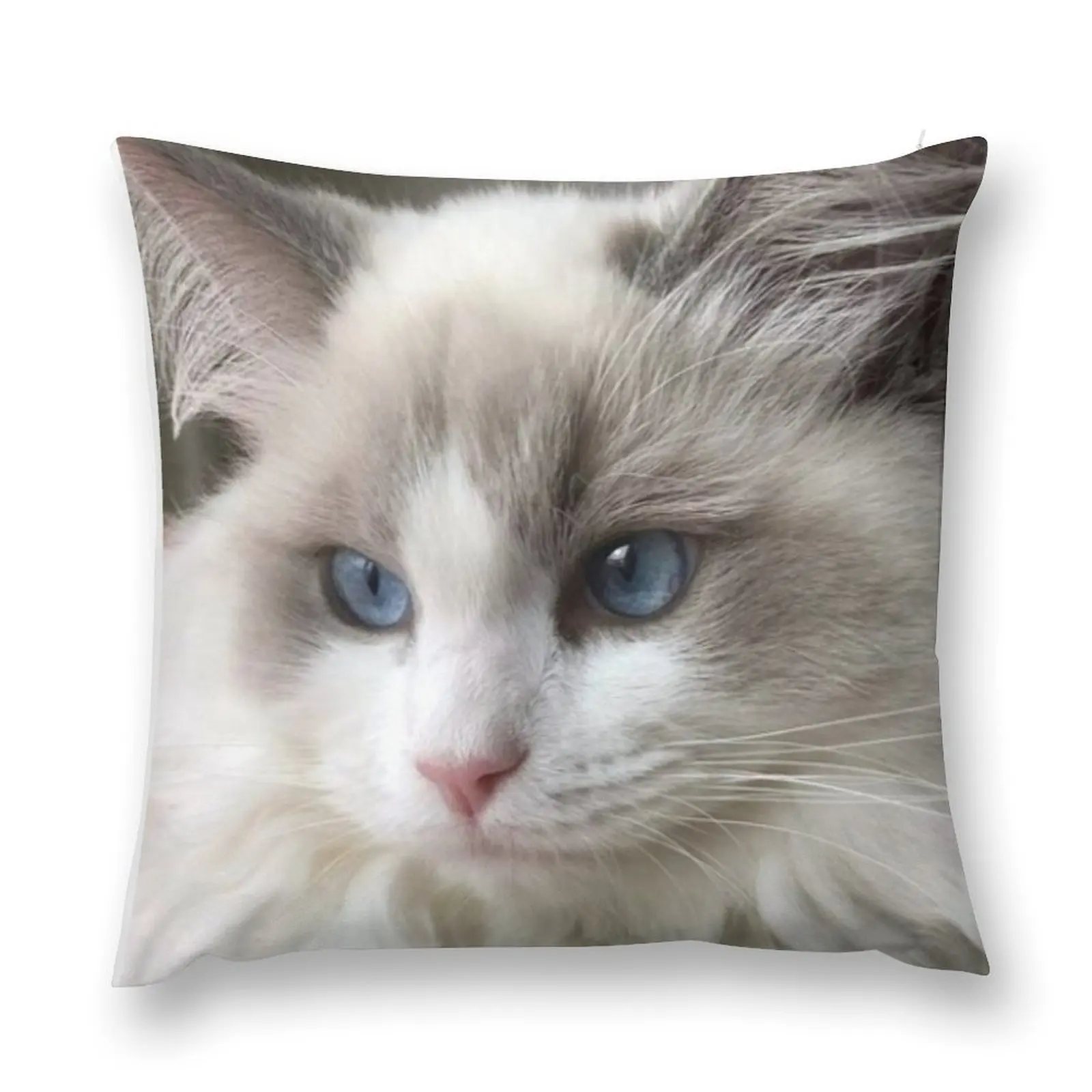 Ragdoll Cat Throw Pillow Decorative Sofa Cushions Cushions For Decorative Sofa Pillow Cover christmas pillowcases pillow