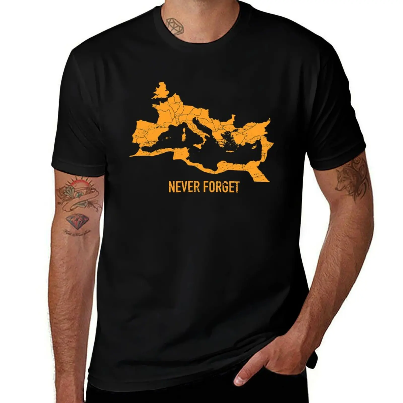 

The Roman Empire Map T-Shirt cotton tshirt 100% cotton t shirts man 100% T-Shirt