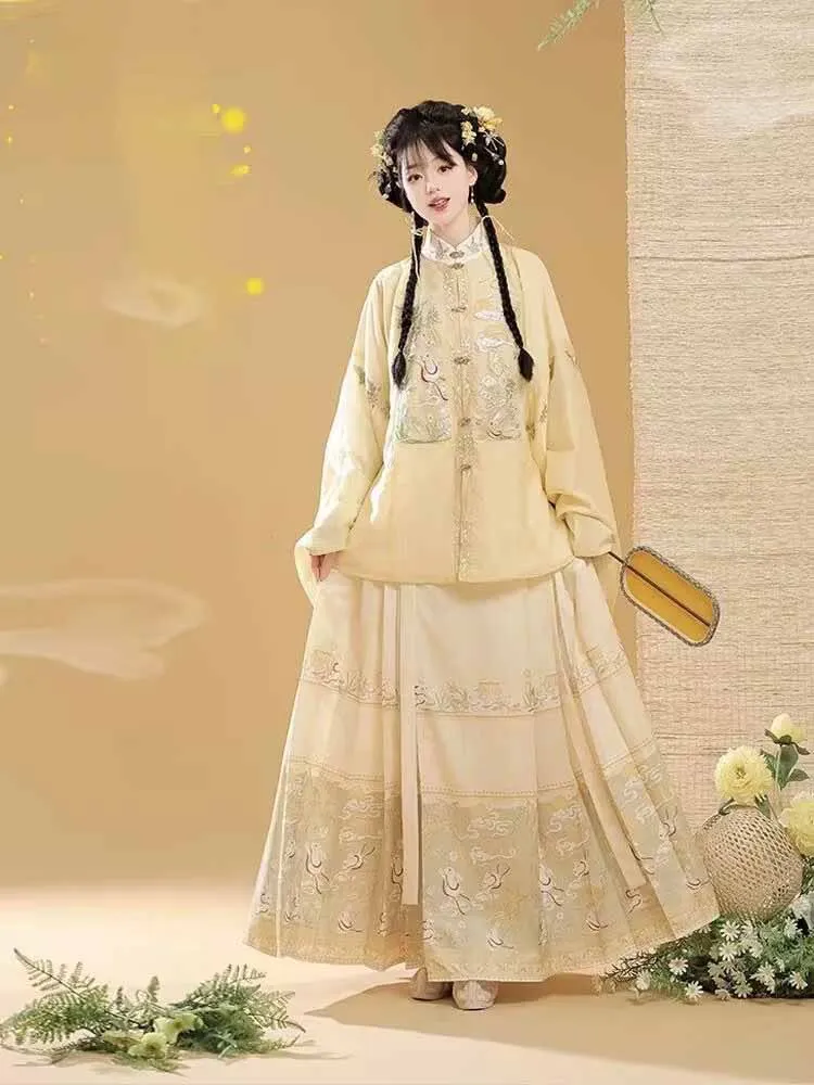 مقاس كبير 10XL فستان هانفو صيني للنساء تأثيري سلالة مينغ القديمة تنورة مطرزة على وجه الحصان هانفو زي نسائي